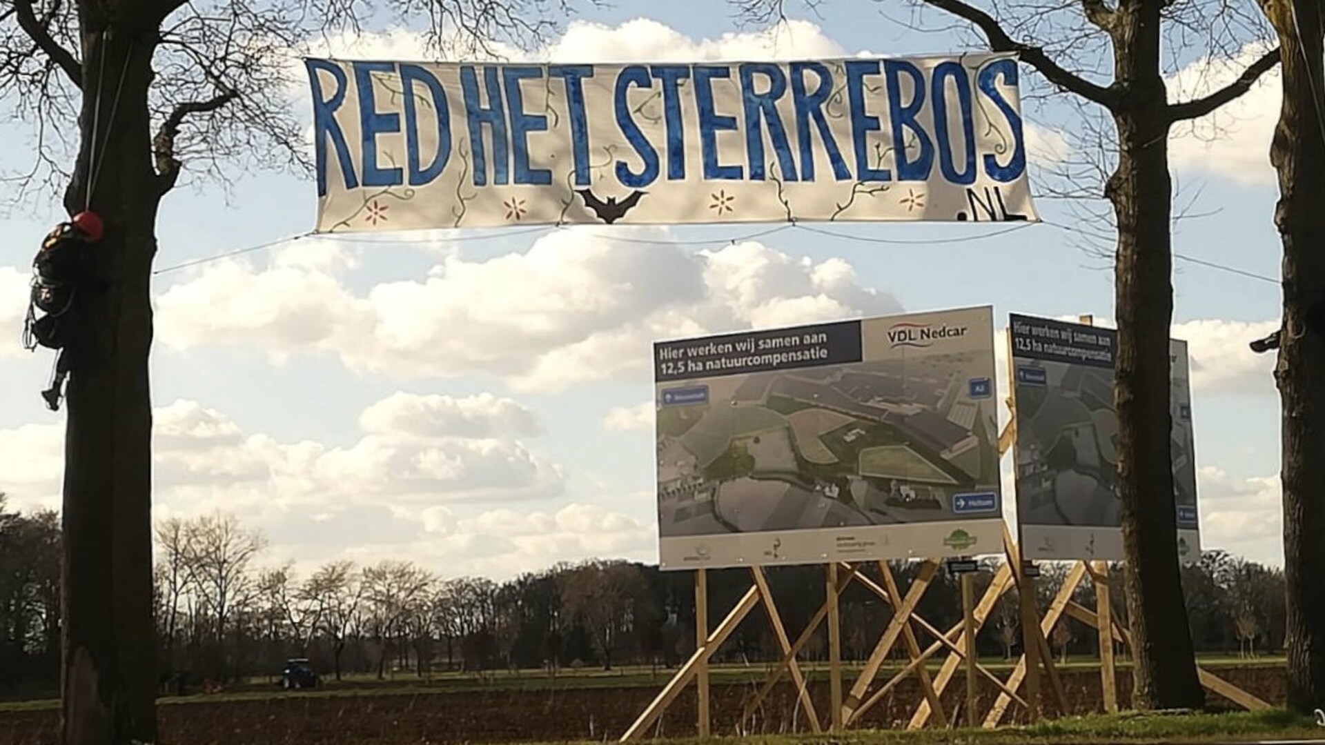 Sterrebos 2