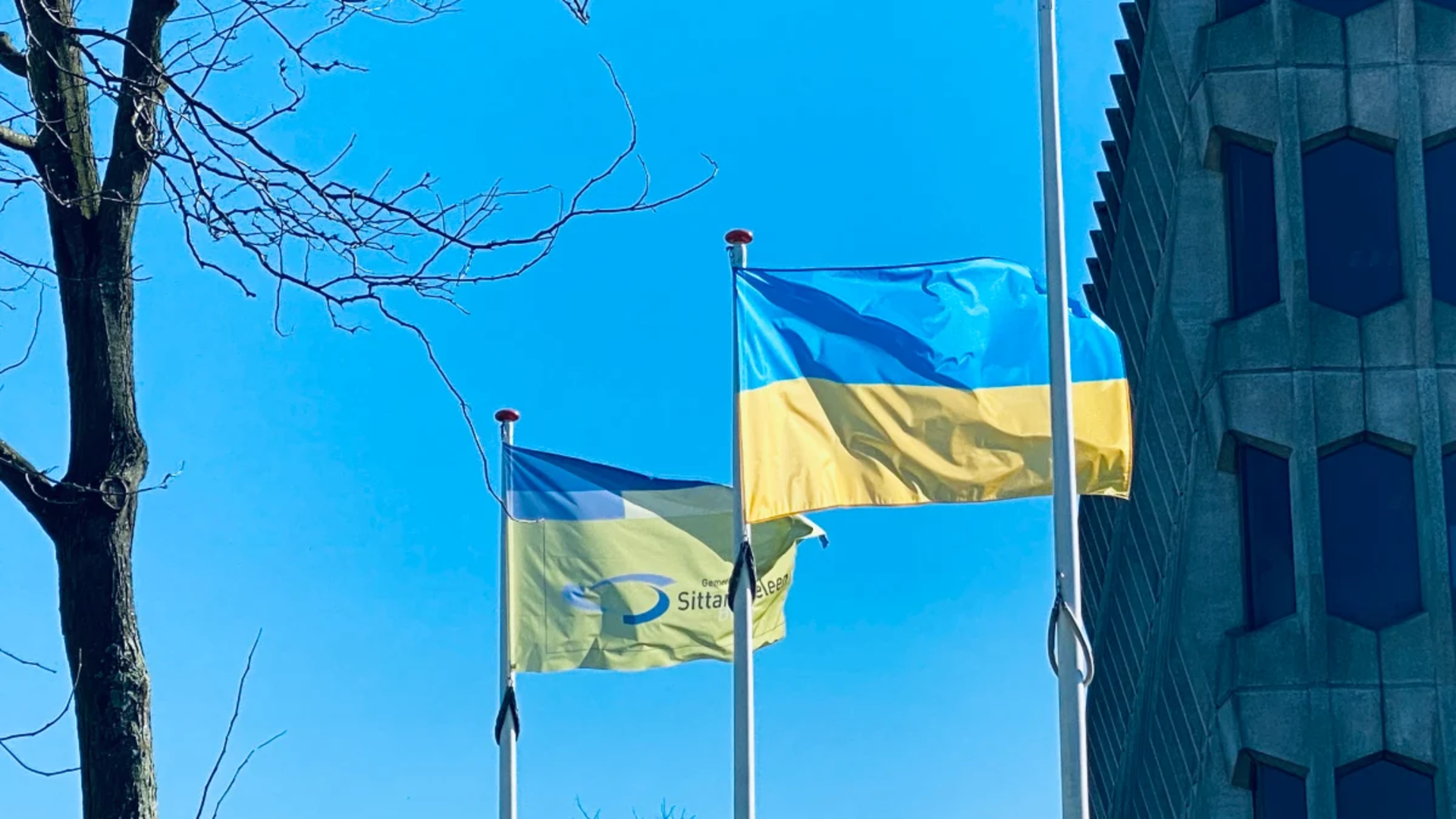 Vlag Oekraine Sittard