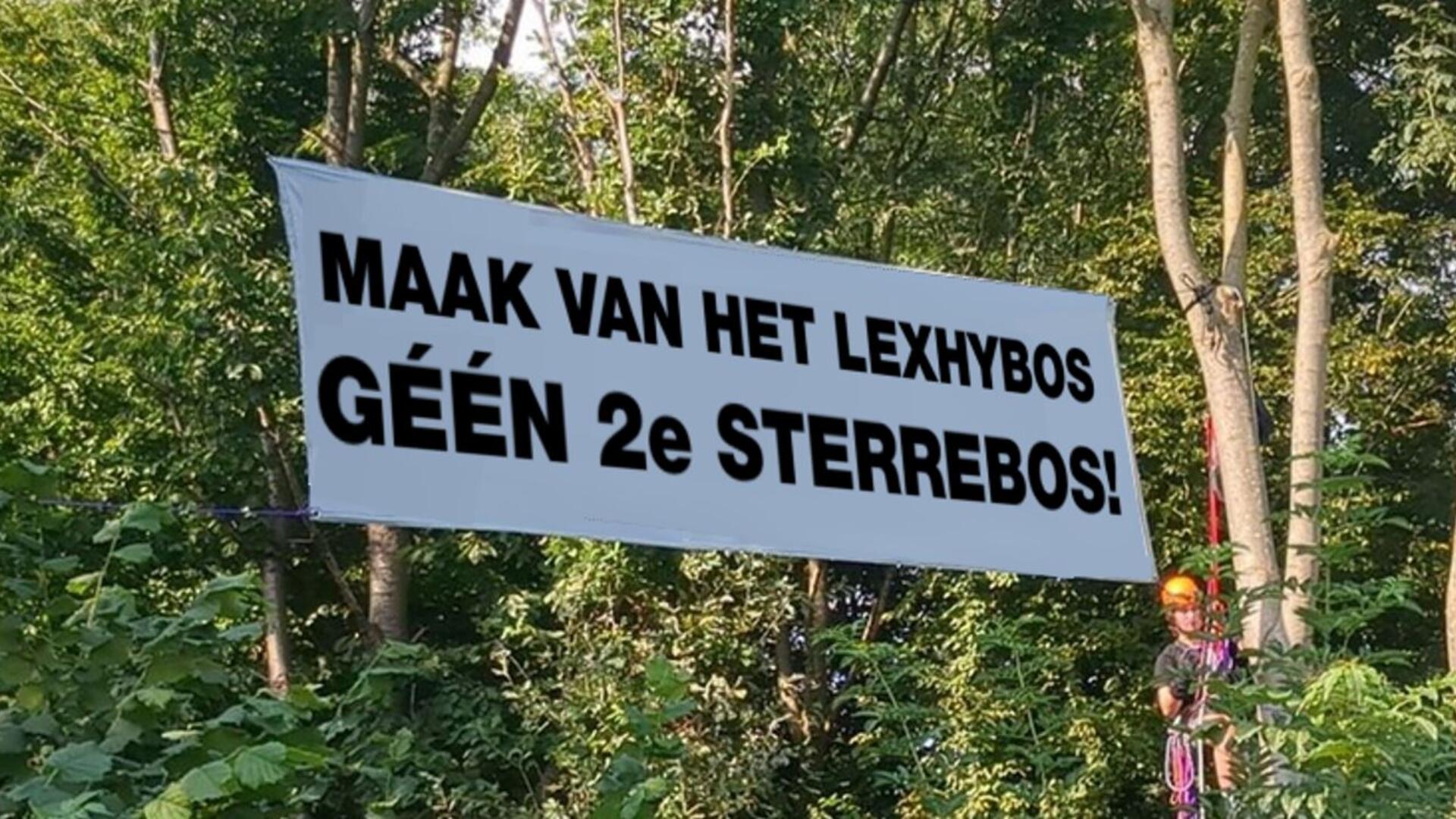 Lexhybos