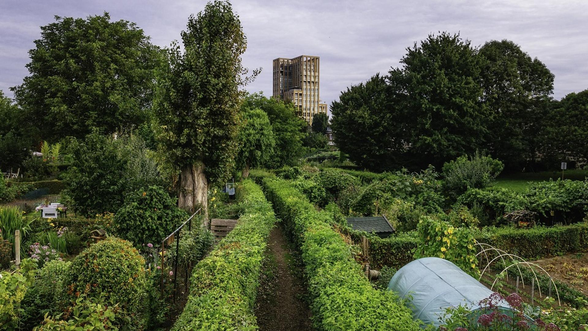 Sittard-Garden-Saving-The-Gardens.jpg